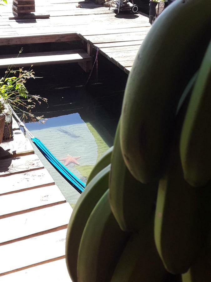 Villa Life Is Good Bocas del Toro Exterior foto